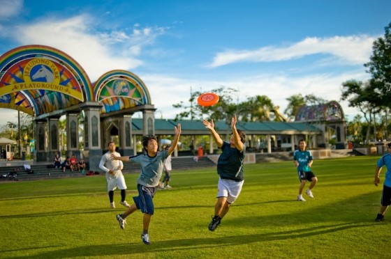 Fun Places / Activities